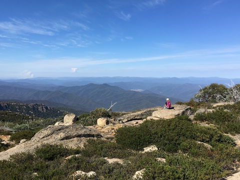 Hedonistic Hiking's Buffalo And Bubbles - Tourism Adelaide 1