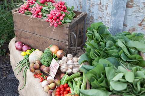 Ma Ma Creek Markets - Tourism Adelaide 0