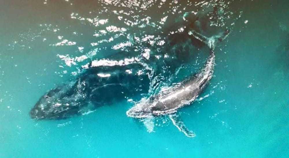 Exmouth WA Tourism Adelaide