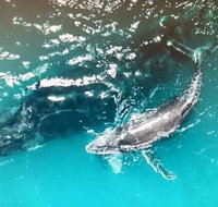 Ningaloo Lodge Exmouth - Tourism Adelaide