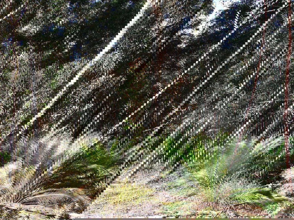 Wamban NSW Tourism Adelaide