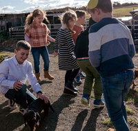 Hunter Valley Resort - Tourism Adelaide