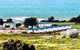 Discovery Parks â€“ Devonport - thumb 0