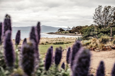 Piermont Retreat - Tourism Adelaide 3