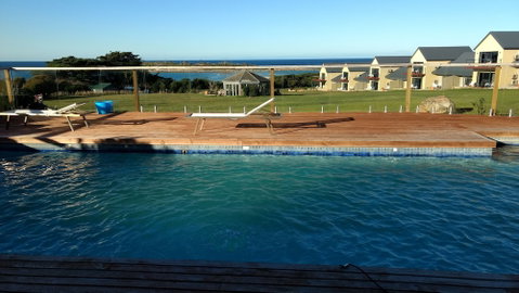 Diamond Island Resort & Bicheno Penguin Show - Tourism Adelaide 6