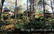 Lemonthyme Wilderness Retreat - thumb 5
