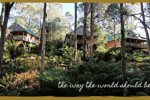 Lemonthyme Wilderness Retreat - Tourism Adelaide 5