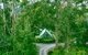 Lemonthyme Wilderness Retreat - thumb 1
