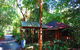 Daintree Rainforest Retreat - thumb 3