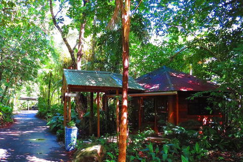 Daintree Rainforest Retreat - Tourism Adelaide 3
