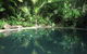 Daintree Rainforest Retreat - thumb 2