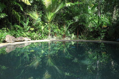 Daintree Rainforest Retreat - Tourism Adelaide 2