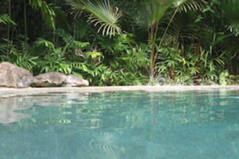 Daintree Rainforest Retreat - Tourism Adelaide 0