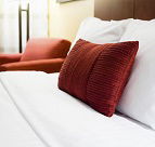 Atherton Rainforest Motor Inn - Tourism Adelaide