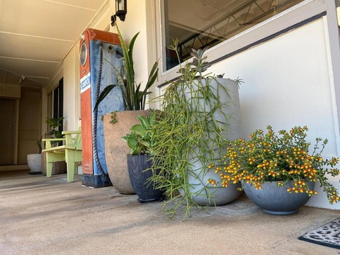 Ben Hall Motor Inn - Tourism Adelaide 5