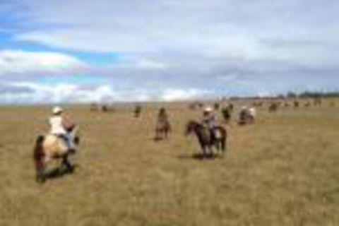 Susan River Homestead - Tourism Adelaide 0