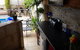 Ocean Reef Homestay - thumb 3