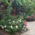 Maldons Eaglehawk Motel - Tourism Adelaide 0