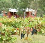 Fergies Hill Spa Cottage at Granite Ridge Wines - Tourism Adelaide