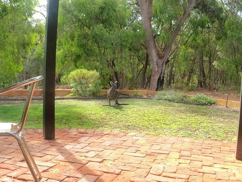 Yallingup Pet Friendly Bush Retreat - Tourism Adelaide 5
