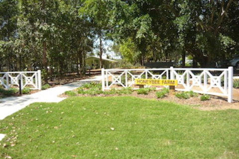 Honeybee Country Accommodation - Tourism Adelaide 1