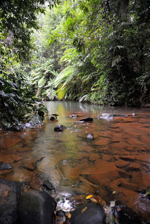 Mena Creek Flower House - Tourism Adelaide 2