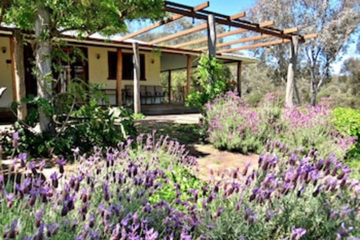 Budden NSW Tourism Adelaide