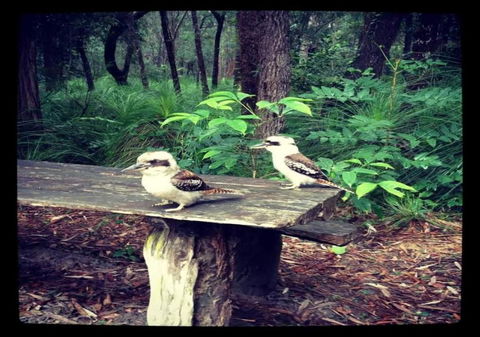 Getaways At Byfield - Tourism Adelaide 1