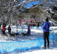 Cloud 9 Alpine Lodge - Tourism Adelaide