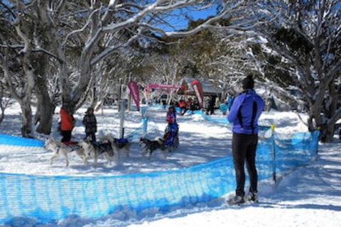 Cloud 9 Alpine Lodge - Tourism Adelaide 0