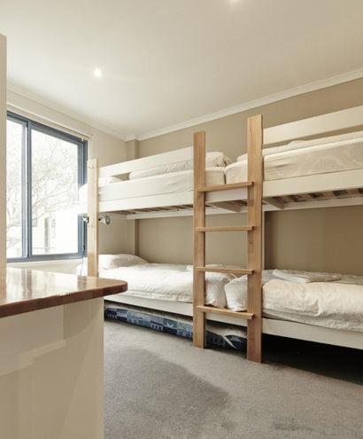 Valley View 203 - Tourism Adelaide 4