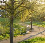 A Suite Spot in the Hills - Tourism Adelaide