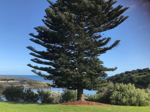Penneshaw Oceanview Apartments - Tourism Adelaide 5