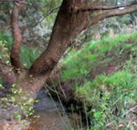 Longwood Retreat - Tourism Adelaide