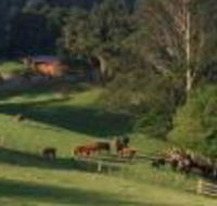 Amaroo Valley Springs - Tourism Adelaide