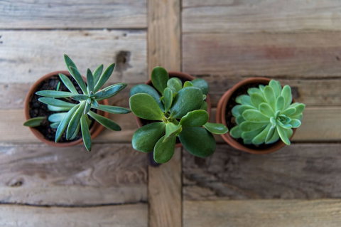 Bundaleer Home - Tourism Adelaide 0