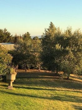 Eemnes Park Estate - Tourism Adelaide 4