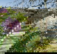 Wentworth Rose - Tourism Adelaide