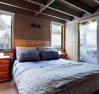 Ironbark - Tourism Adelaide