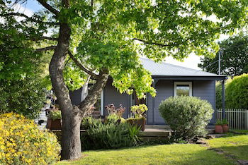 Absolute - Tourism Adelaide 0