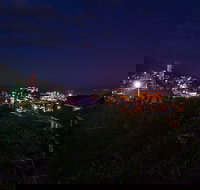 Serpentine Rose - Tourism Adelaide