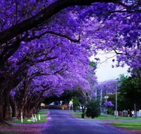 Park view on the City Fringe - Tourism Adelaide