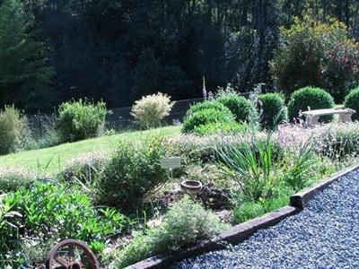 Wilmot TAS Tourism Adelaide