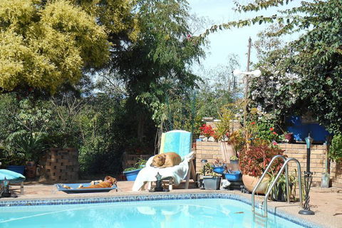 Pindari House - Tourism Adelaide 3