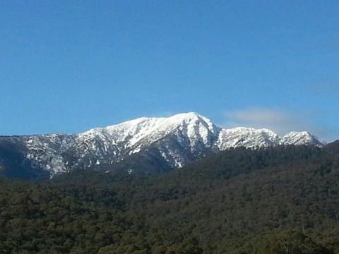 Alps Lodge - Tourism Adelaide 4