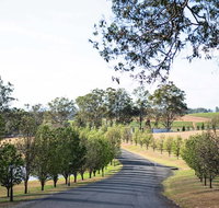 voco Kirkton Park Hunter Valley  an IHG Hotel - Tourism Adelaide