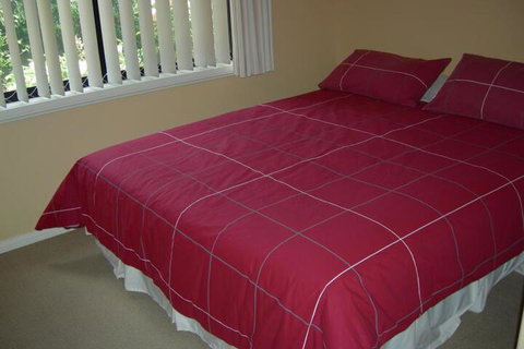 Busy Buzz B & B - Tourism Adelaide 4