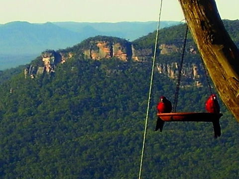 Valley Of The Waters B&B - Tourism Adelaide 3