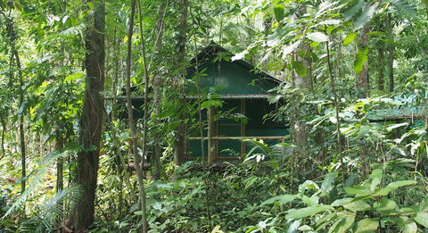 Daintree Crocodylus - Tourism Adelaide 3