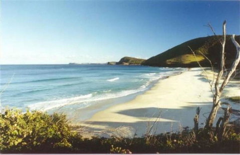 ILUKA - Tourism Adelaide 4